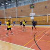 IMG_20250326_093334