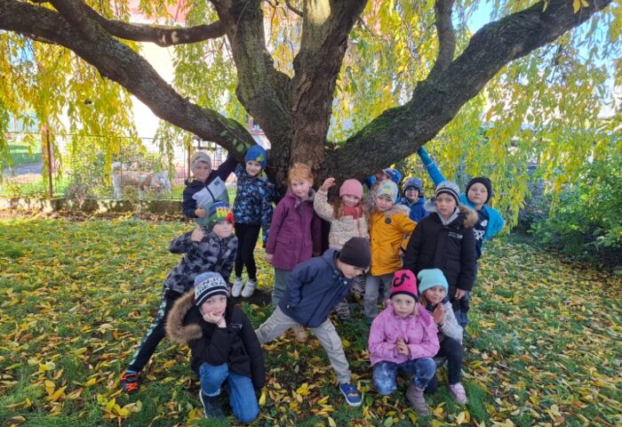 Den stromů v 1. třídě