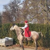 IMG-20251114-WA0004 IMG-20251114-WA0004