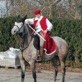 IMG_20251114_141318_resized_20251114_080035154 IMG_20251114_141318_resized_20251114_080035154