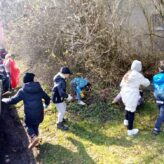 IMG_20260323_104511