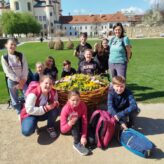 IMG_20260417_145348